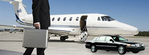 Dulles Taxi Service ( 571-490-6288)